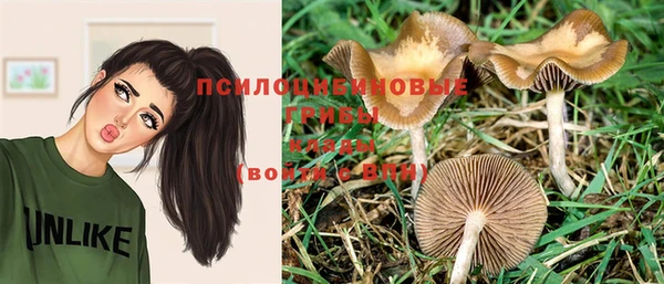 мяу мяу мука Лабытнанги
