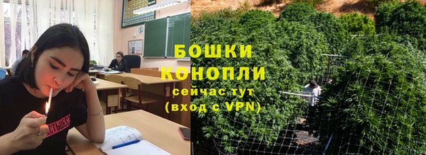 молекула духа Липки