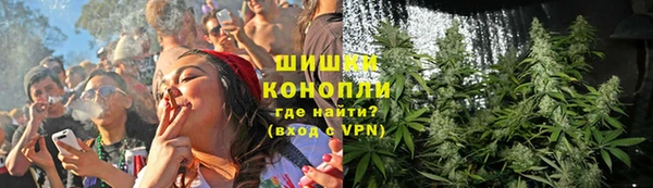мяу мяу мука Лабытнанги