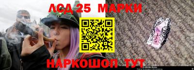 кокс Гусев