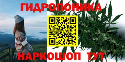 прущий лед Гусь-Хрустальный