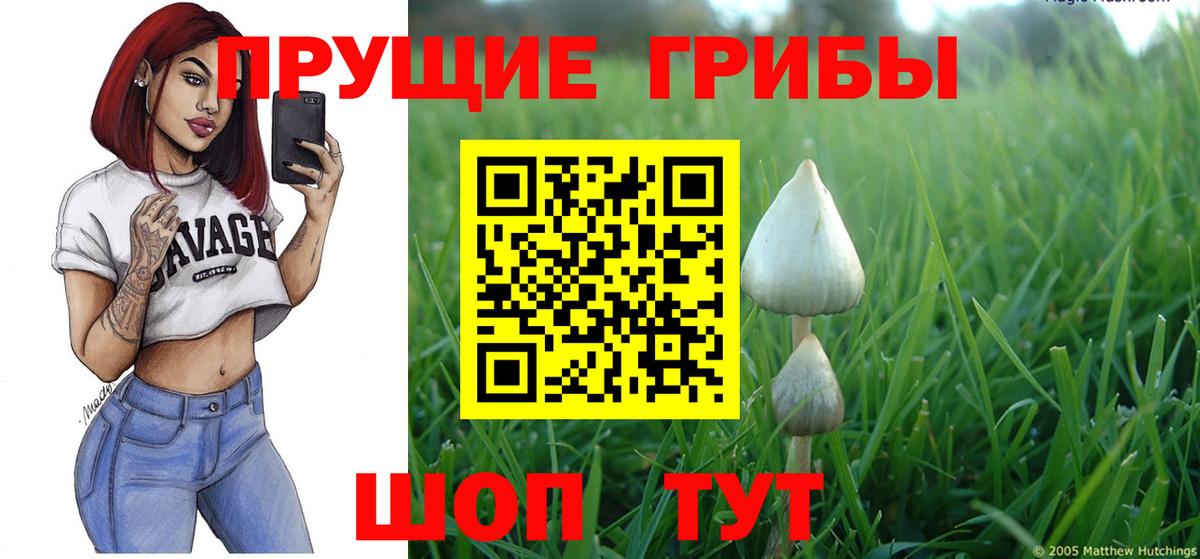 Псилоцибиновые грибы Psilocybine cubensis  Вход с VPN  Коломна 
